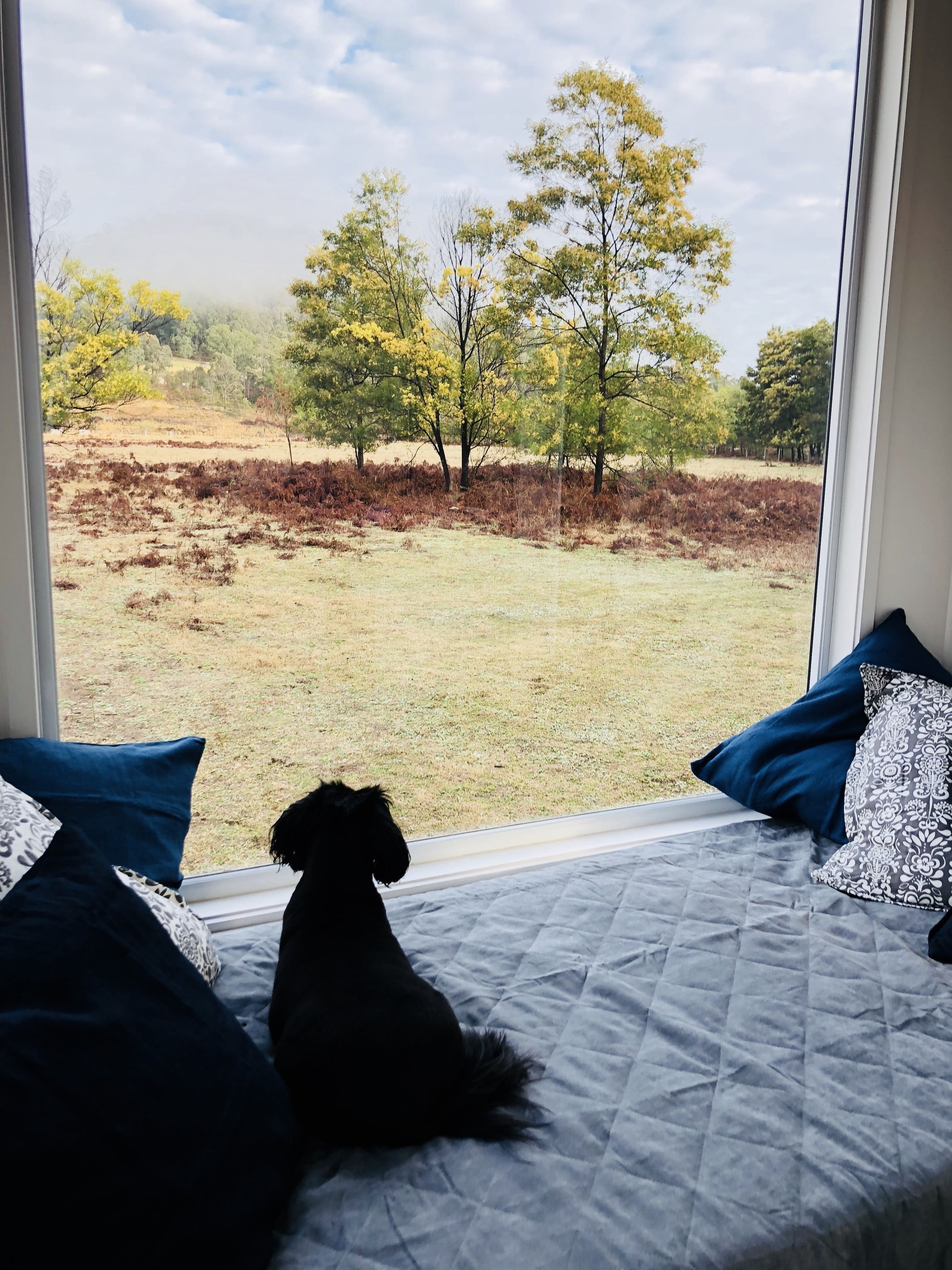 Elizabeth Tiny House