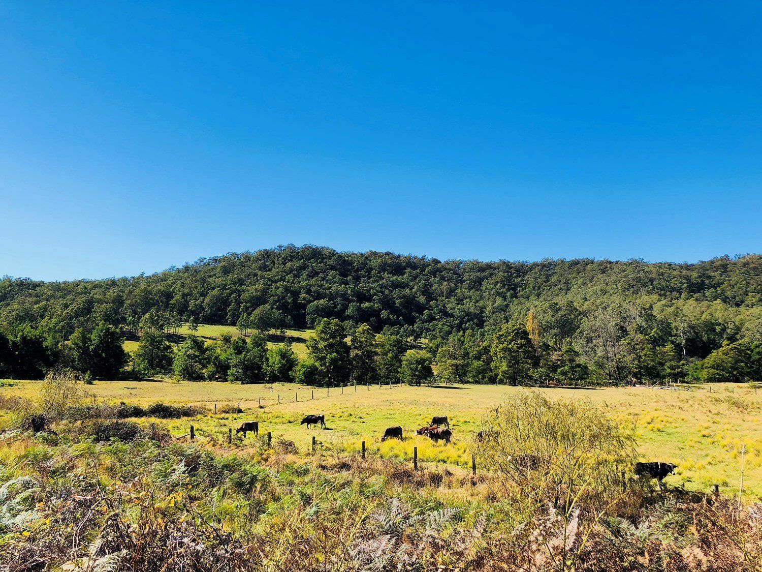 Elizabeth Tiny House
