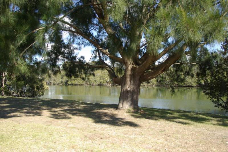 Macquarie 4 Star