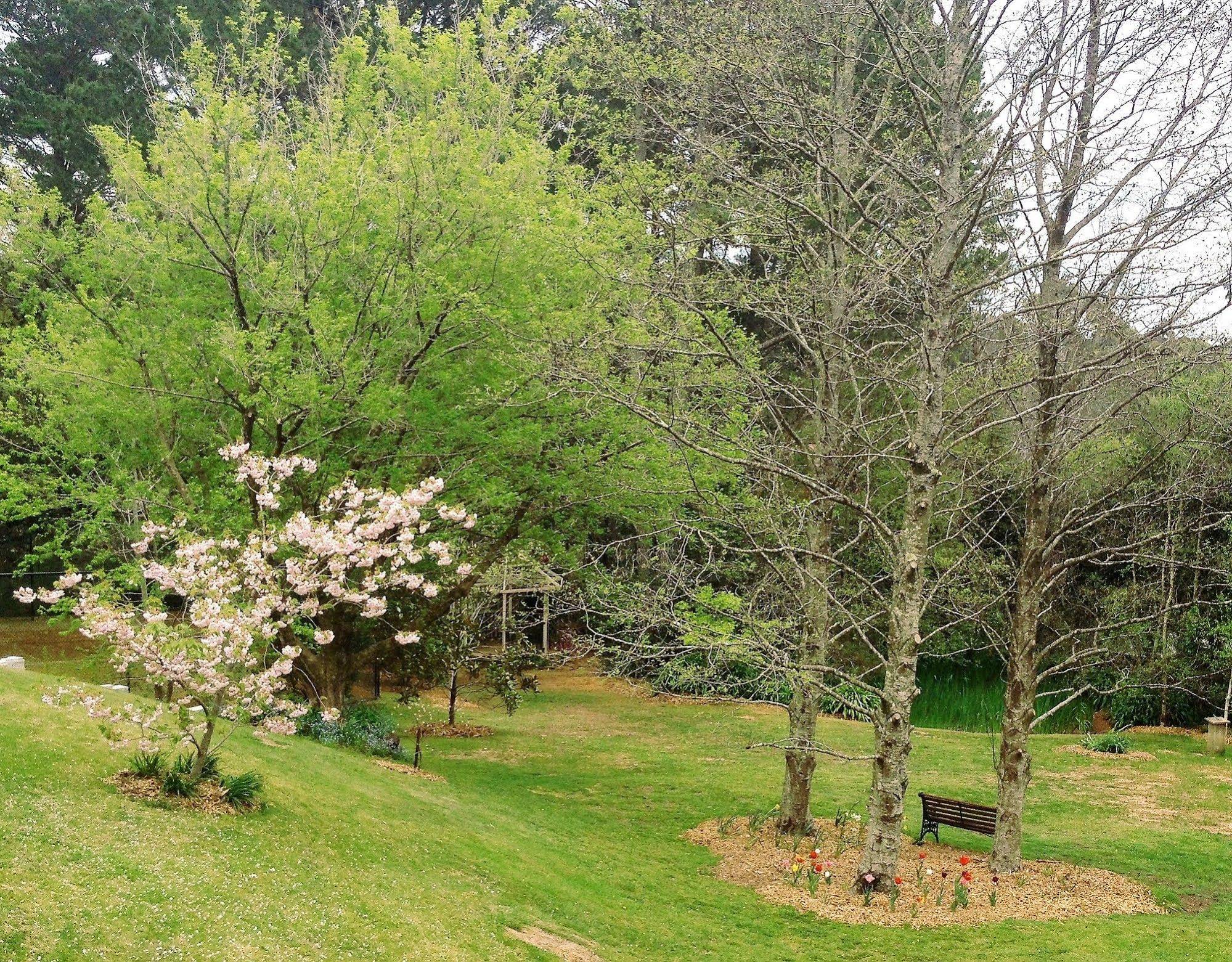 Bethany Manor Bed & Breakfast