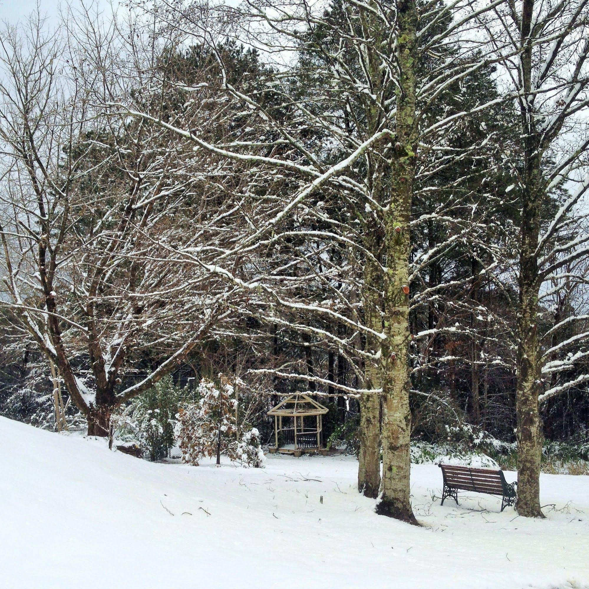 Bethany Manor Bed & Breakfast