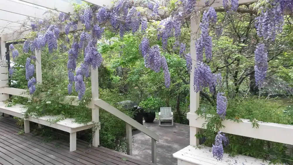 Leura Country Cottage