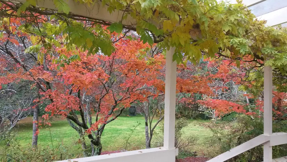 Leura Country Cottage