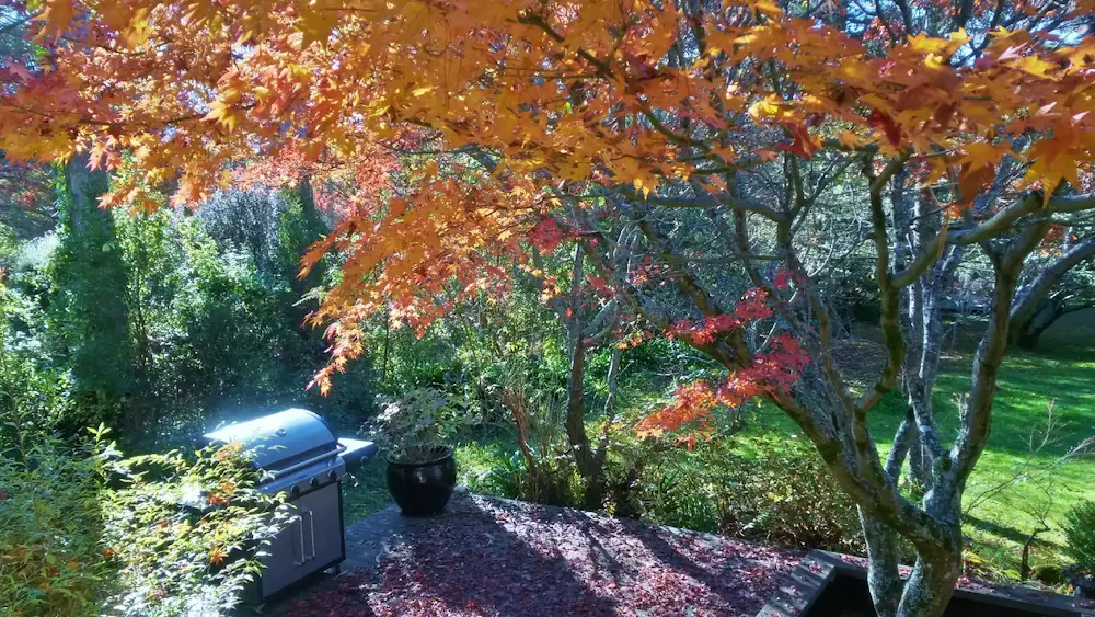 Leura Country Cottage