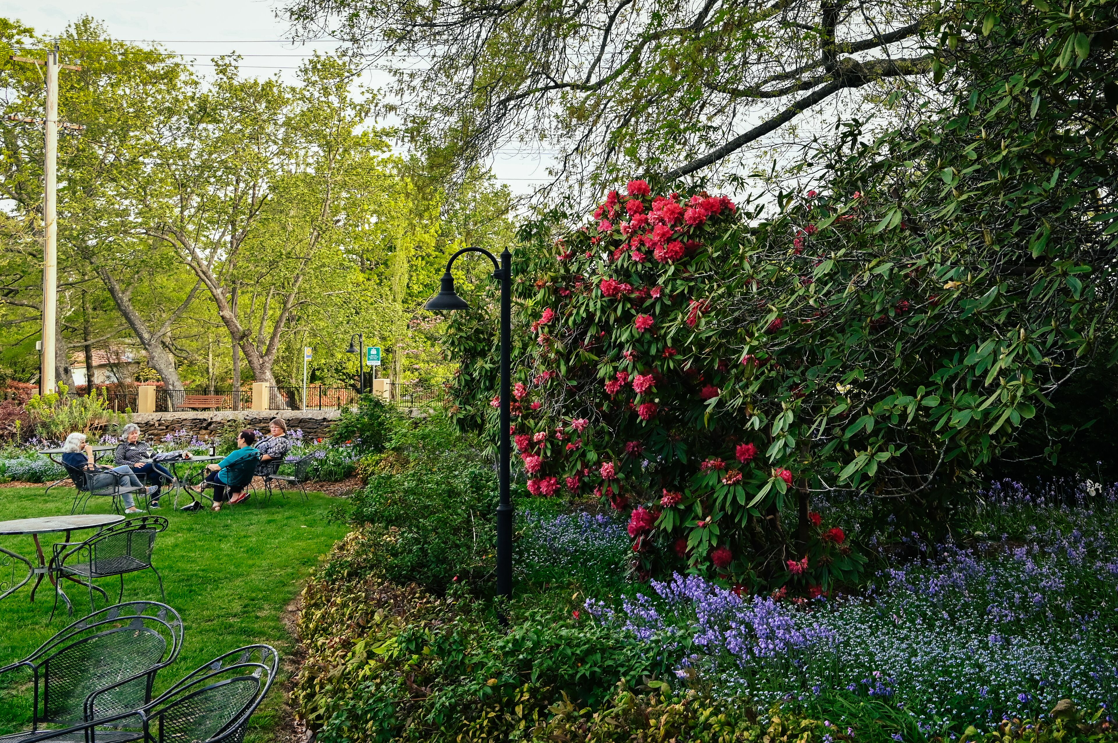 Leura Gardens Accommodation