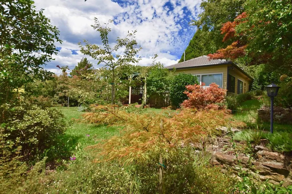 Raspberry Terrace Of Leura