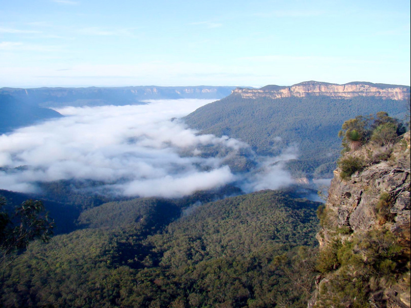 Woodford of Leura