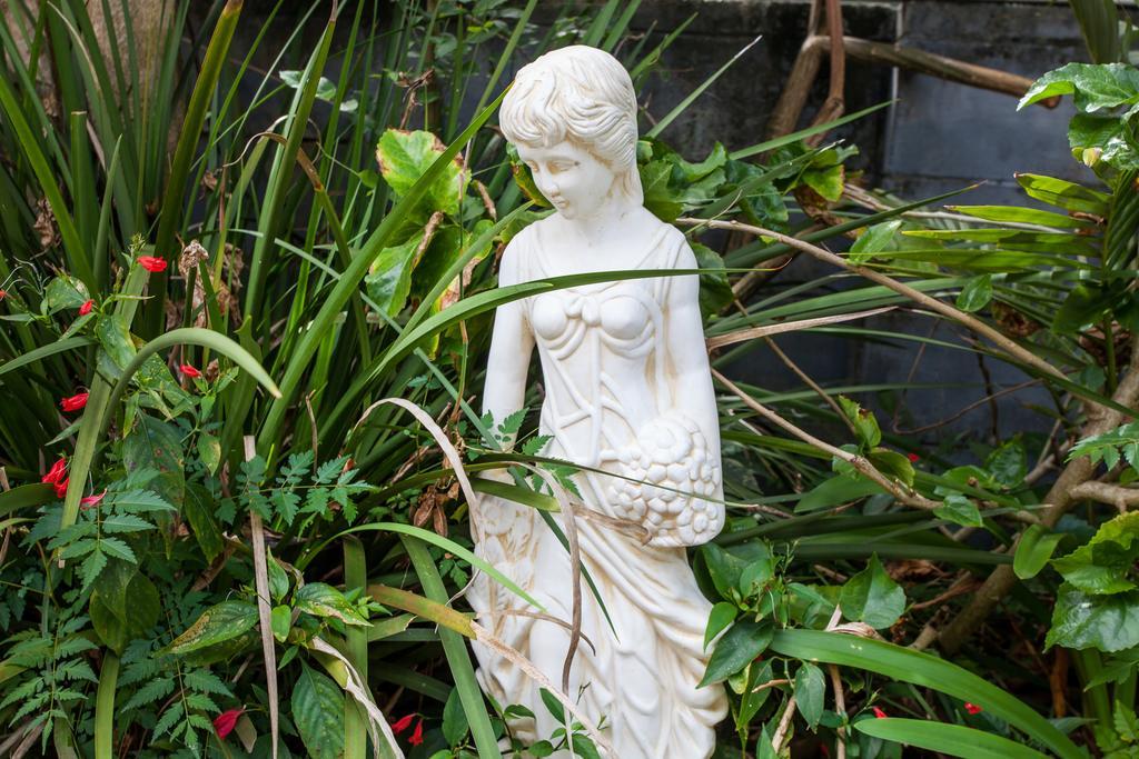 Elindale House Bed & Breakfast
