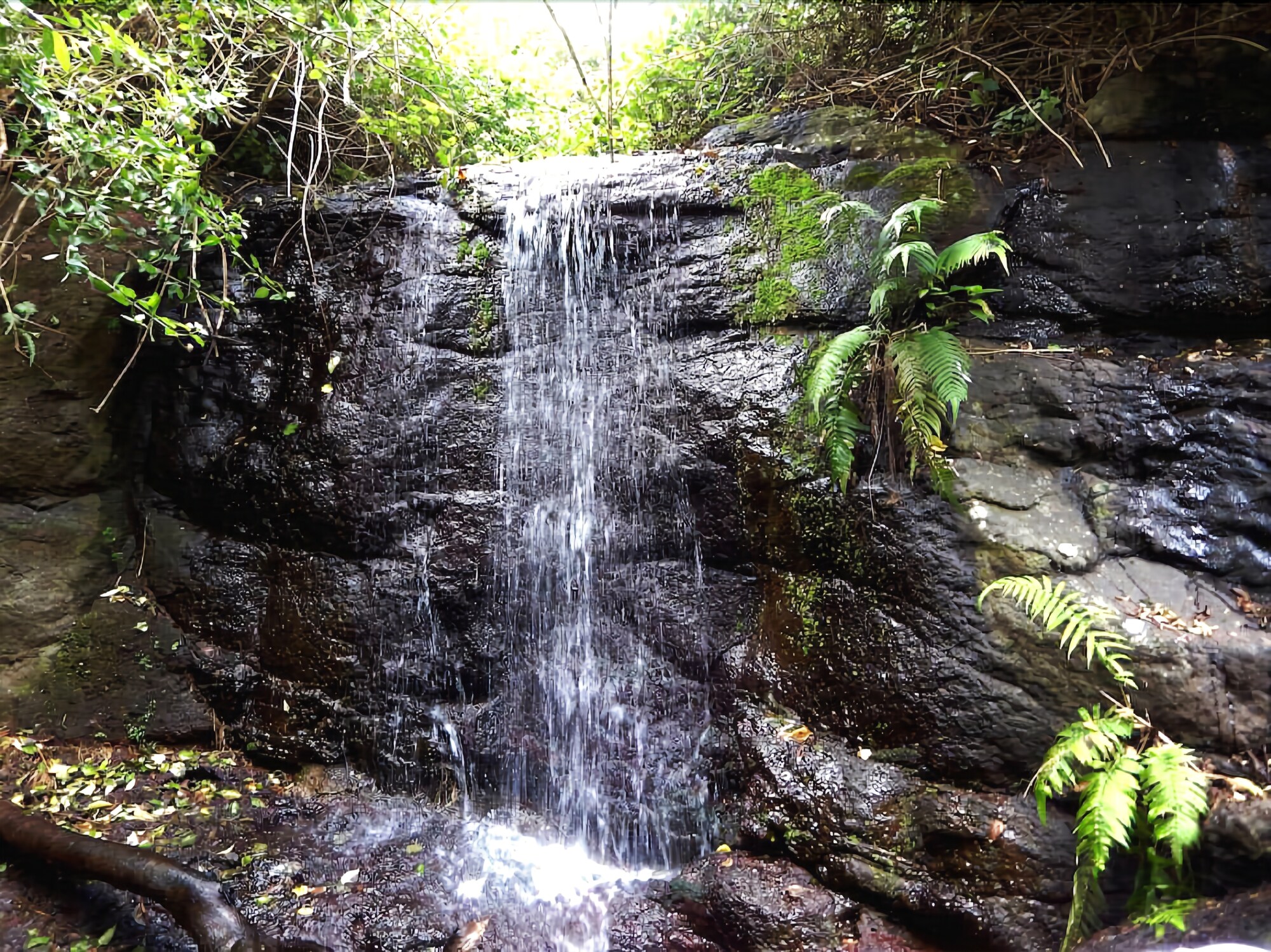 Riverbend Byron Hinterland Retreat