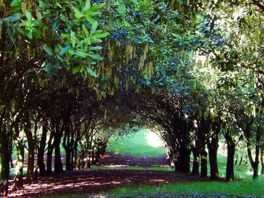 Riverbend Byron Hinterland Retreat
