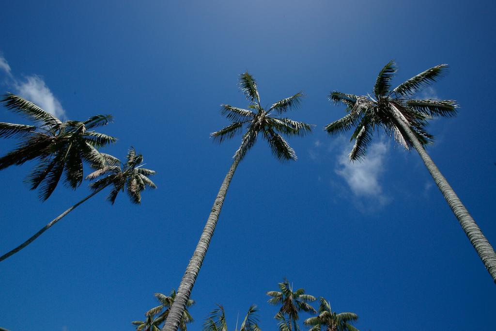Beachcomber Lodge