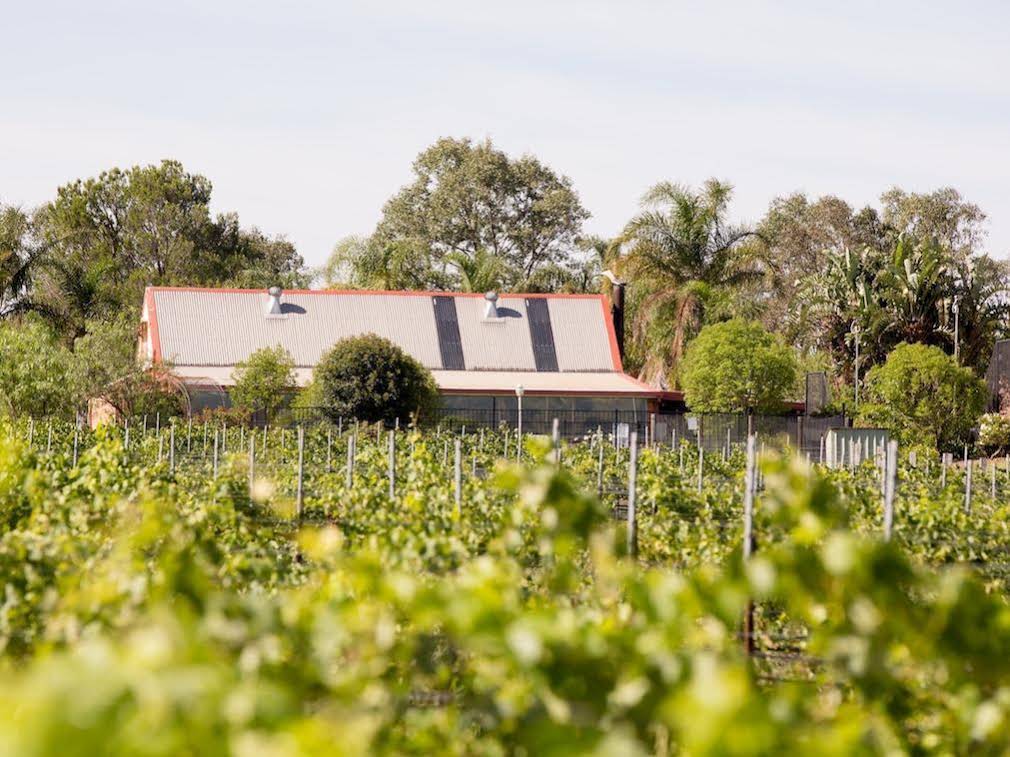 Bluebush Estate, Hunter Valley