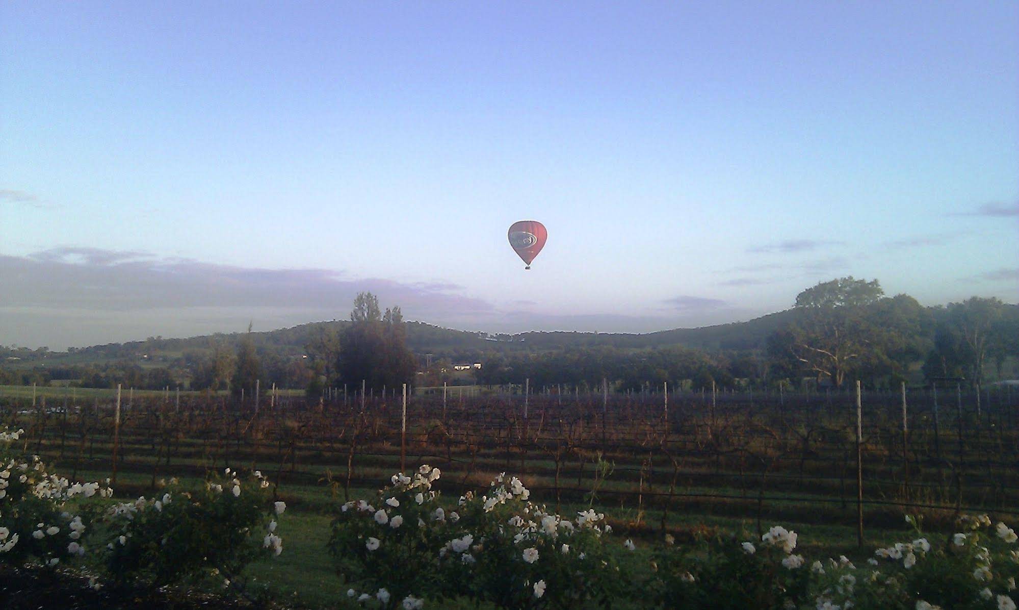 Bluebush Estate, Hunter Valley