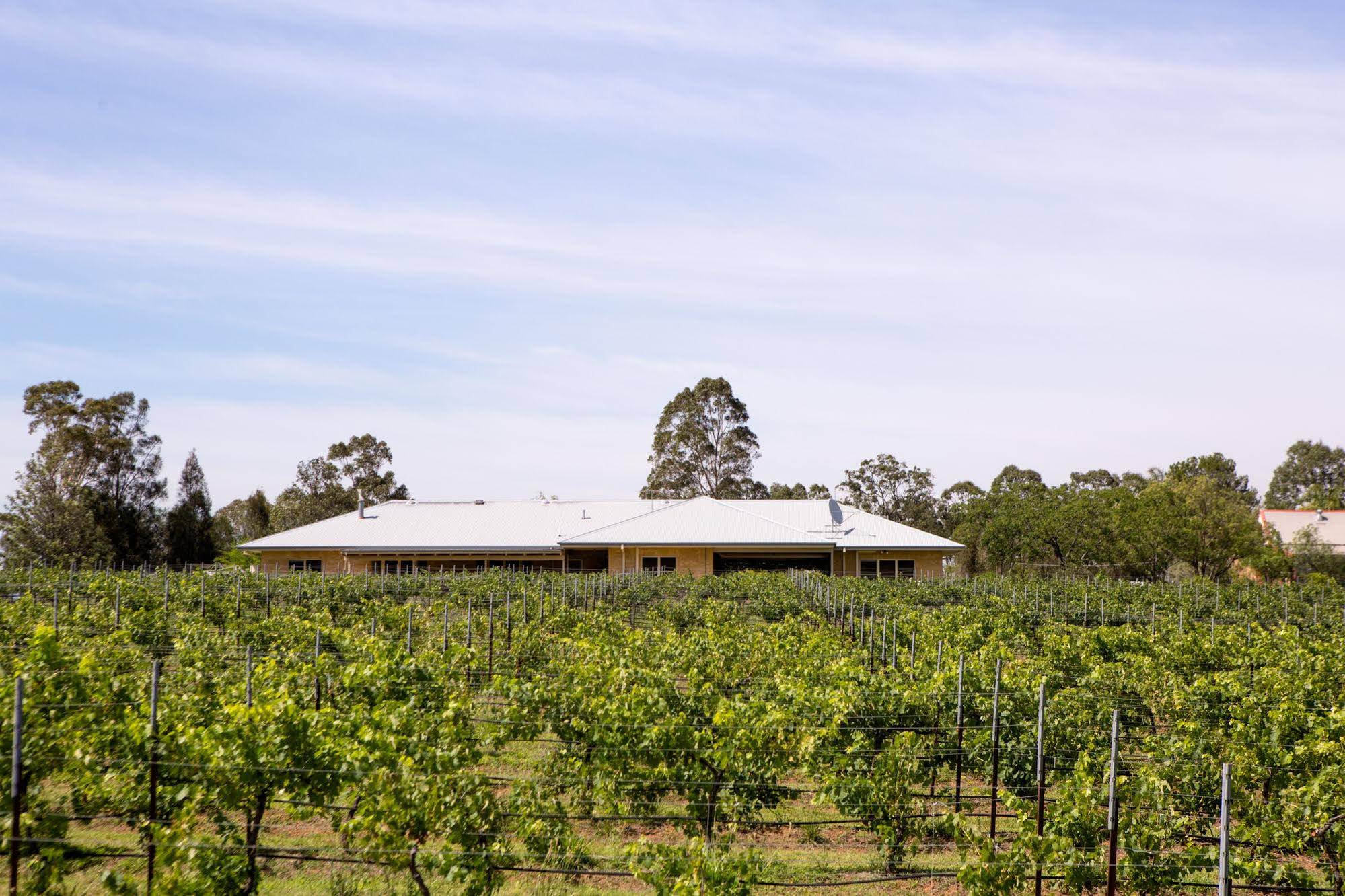 Bluebush Estate, Hunter Valley