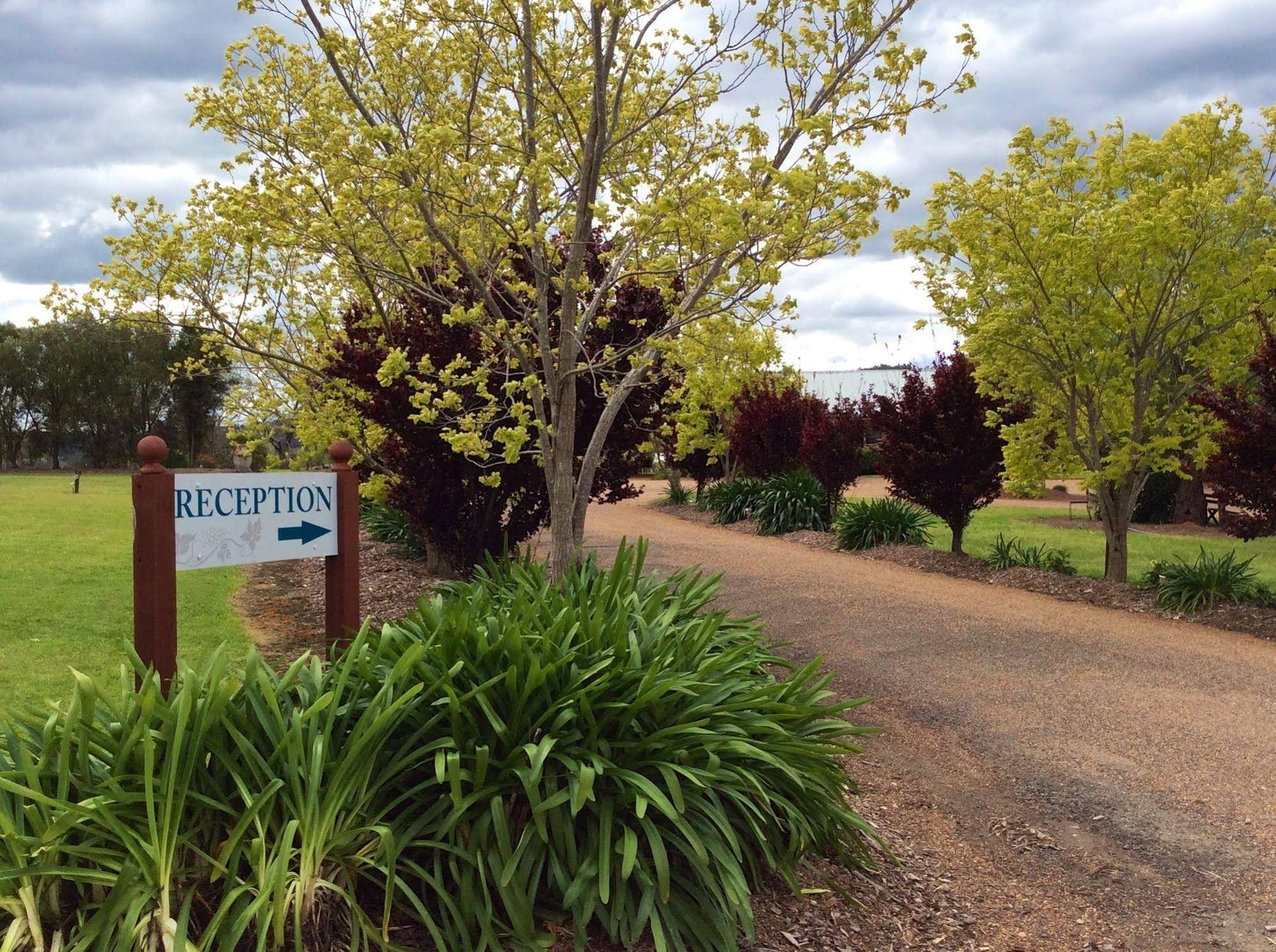 Bluebush Estate, Hunter Valley