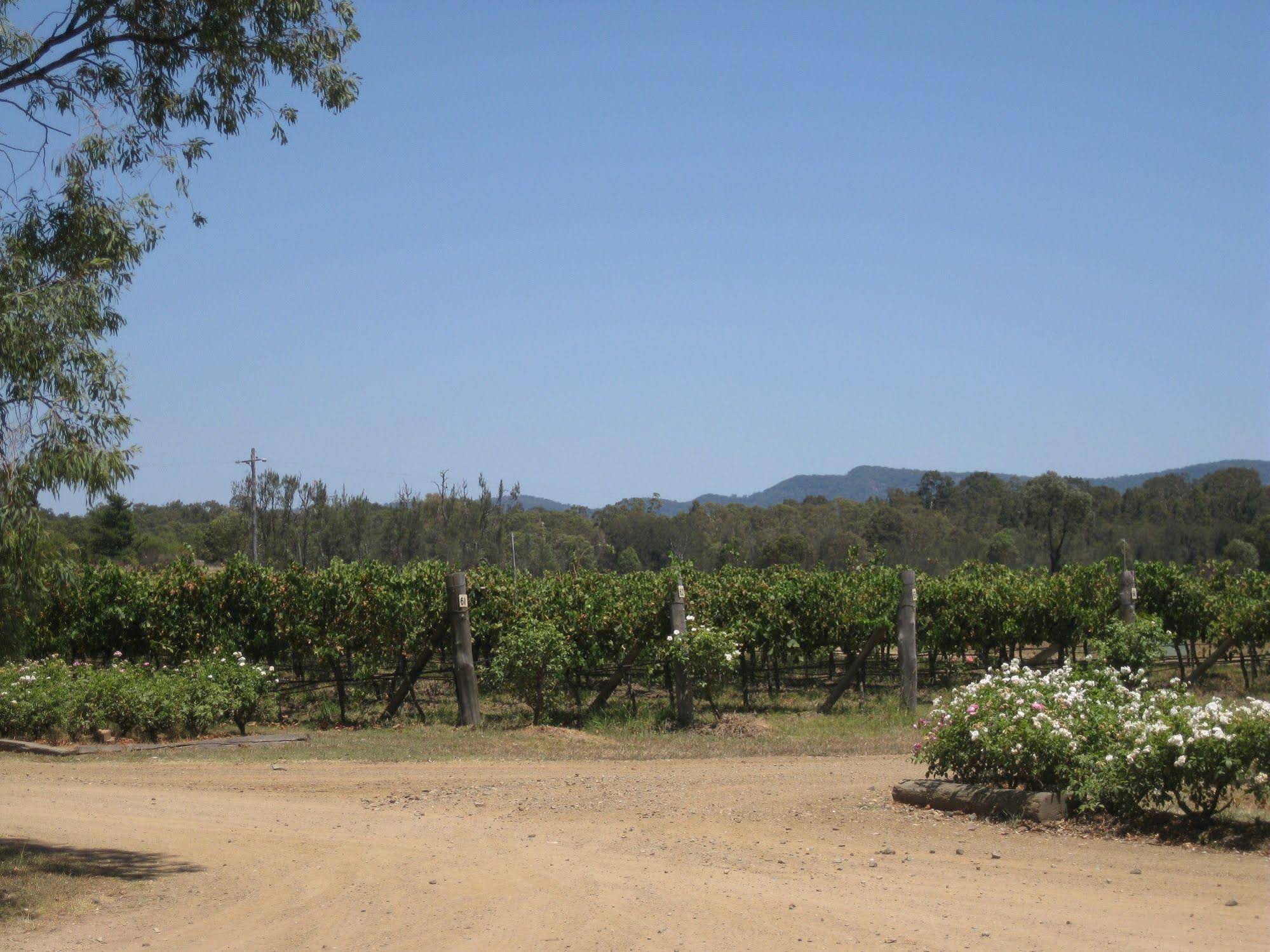 Emmas Cottage Vineyard
