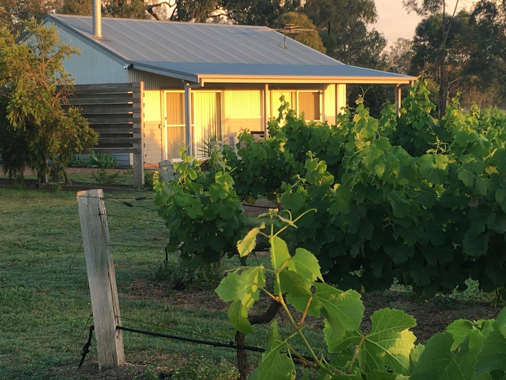 Emmas Cottage Vineyard