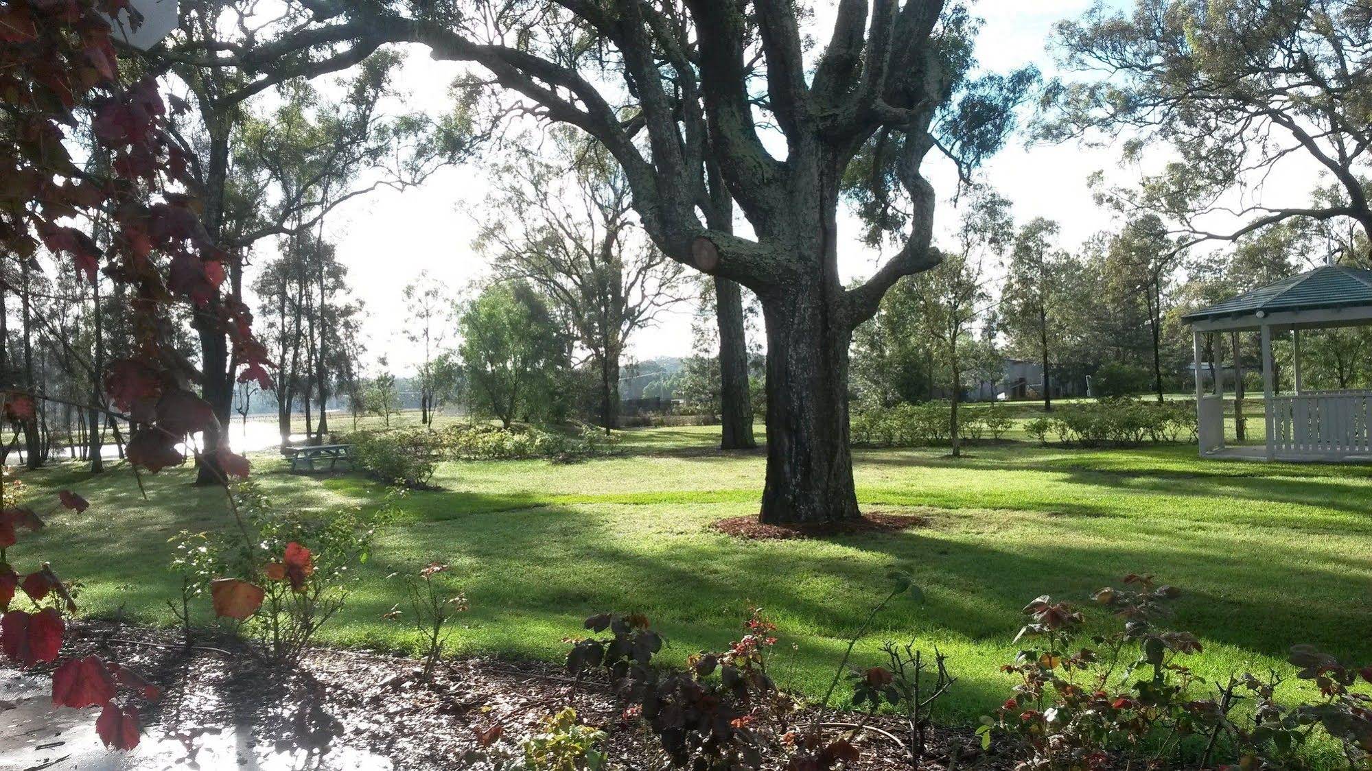 Emmas Cottage Vineyard