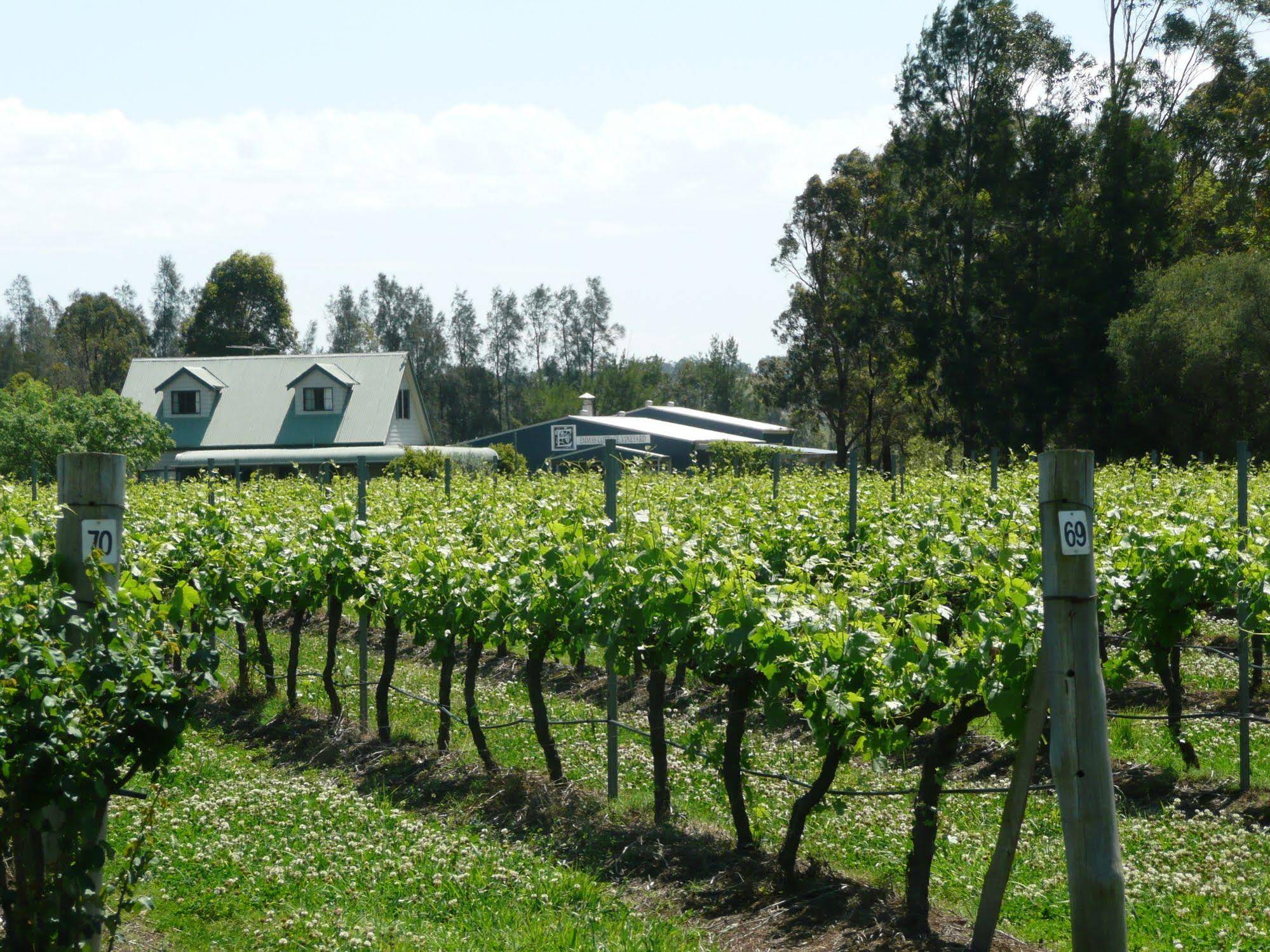Emmas Cottage Vineyard