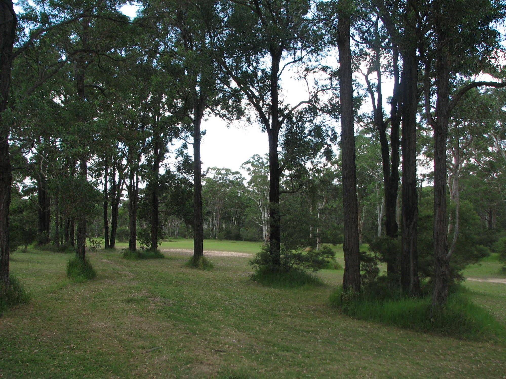 Lovedale Cottages