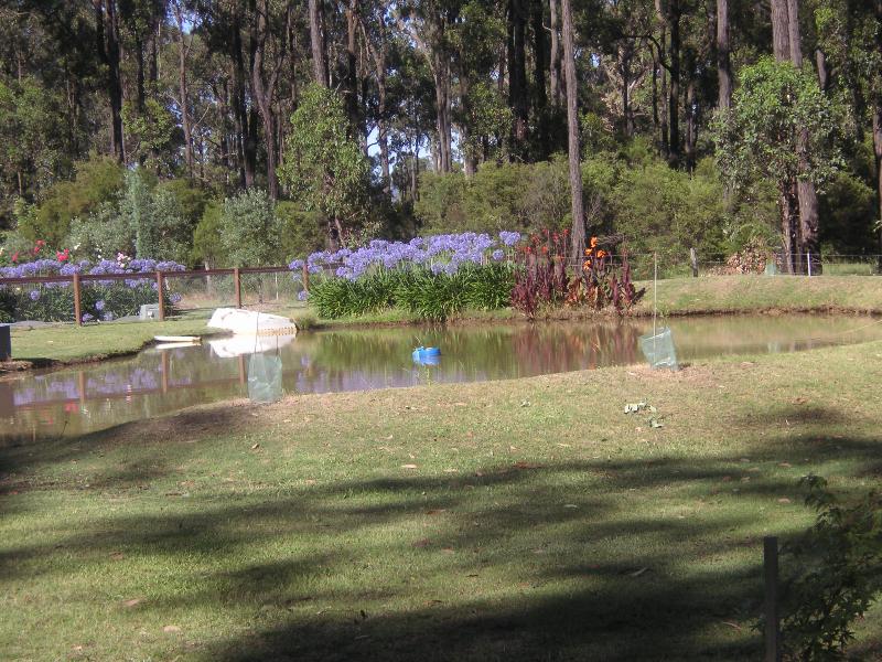 Rosedale Estate - Lovedale Hunter Valley