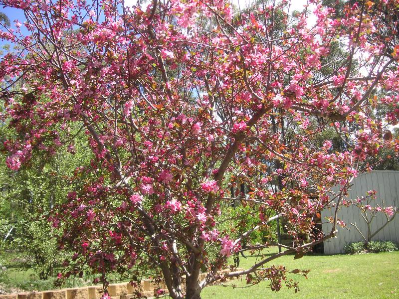 Rosedale Estate - Lovedale Hunter Valley