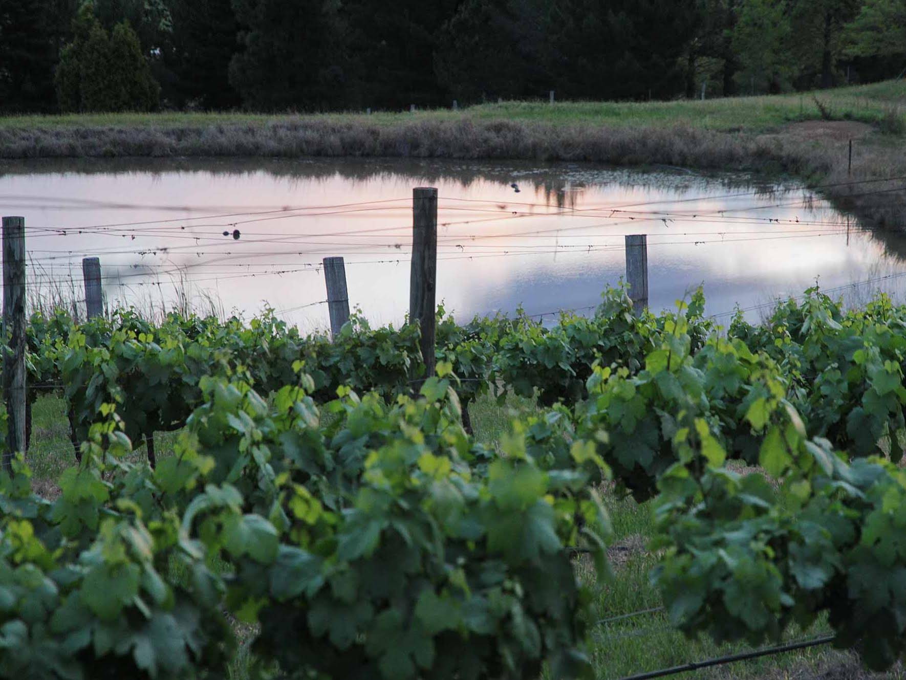 Sovereign Hill Country Lodge And Vineyard