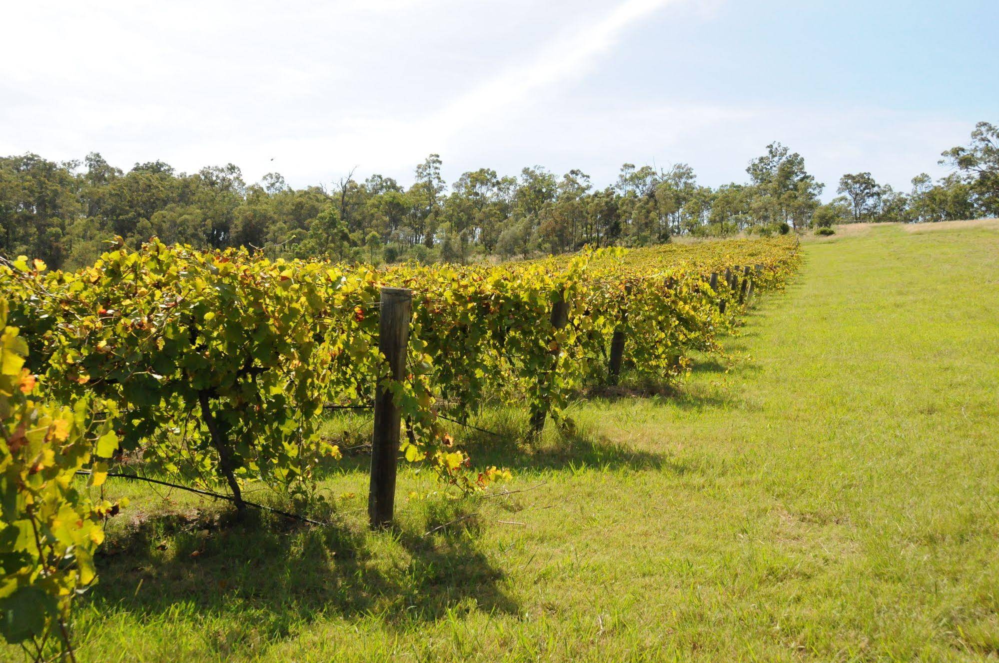 Sovereign Hill Country Lodge And Vineyard