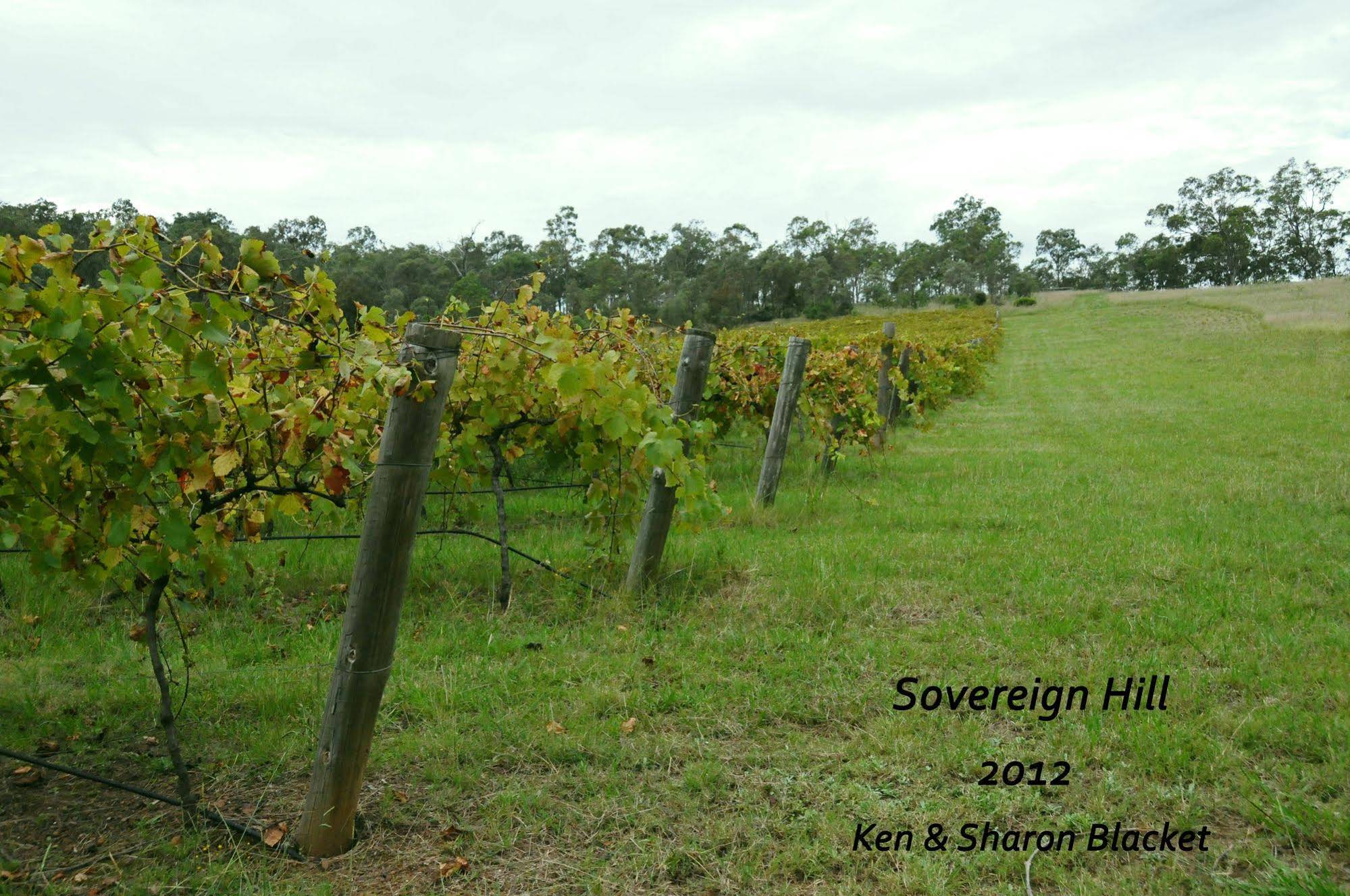 Sovereign Hill Country Lodge And Vineyard