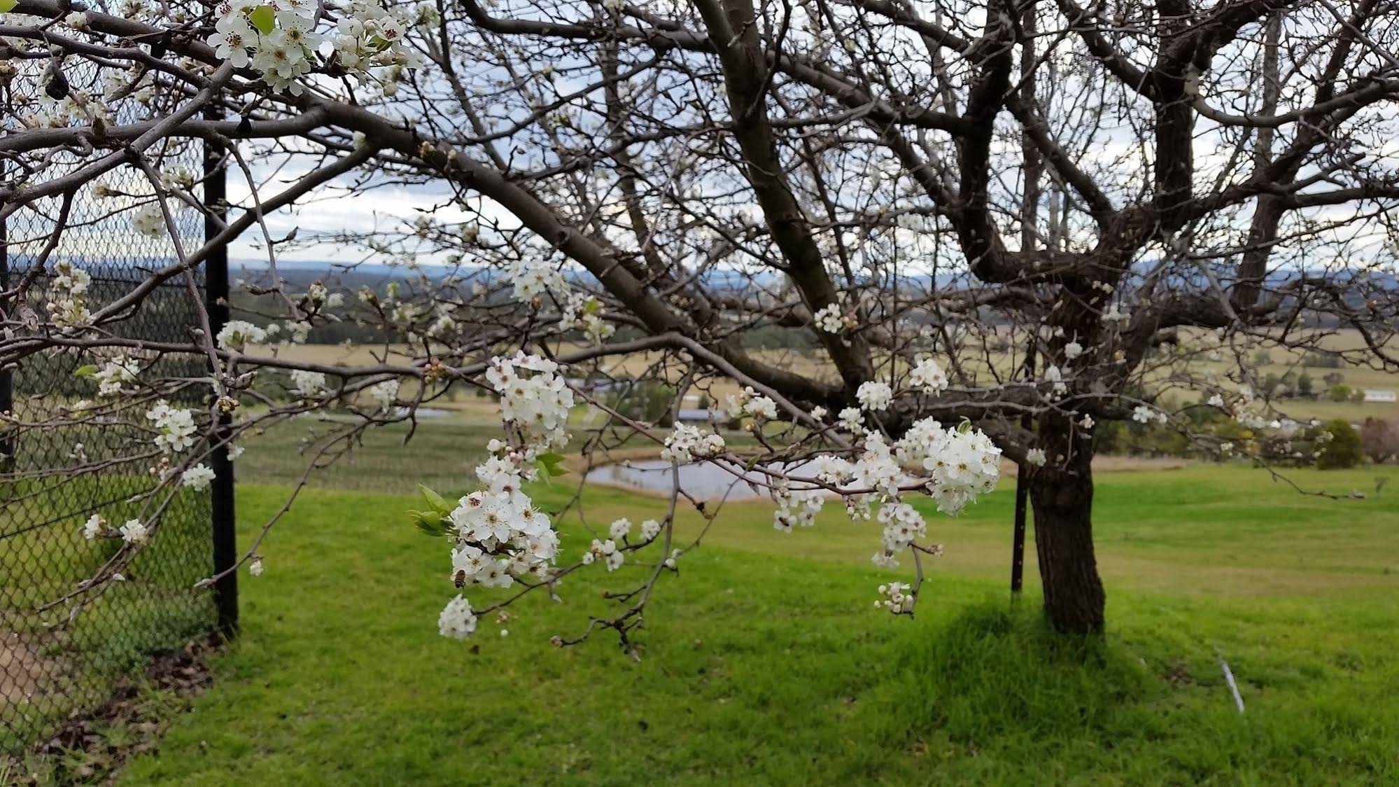 Sovereign Hill Country Lodge And Vineyard