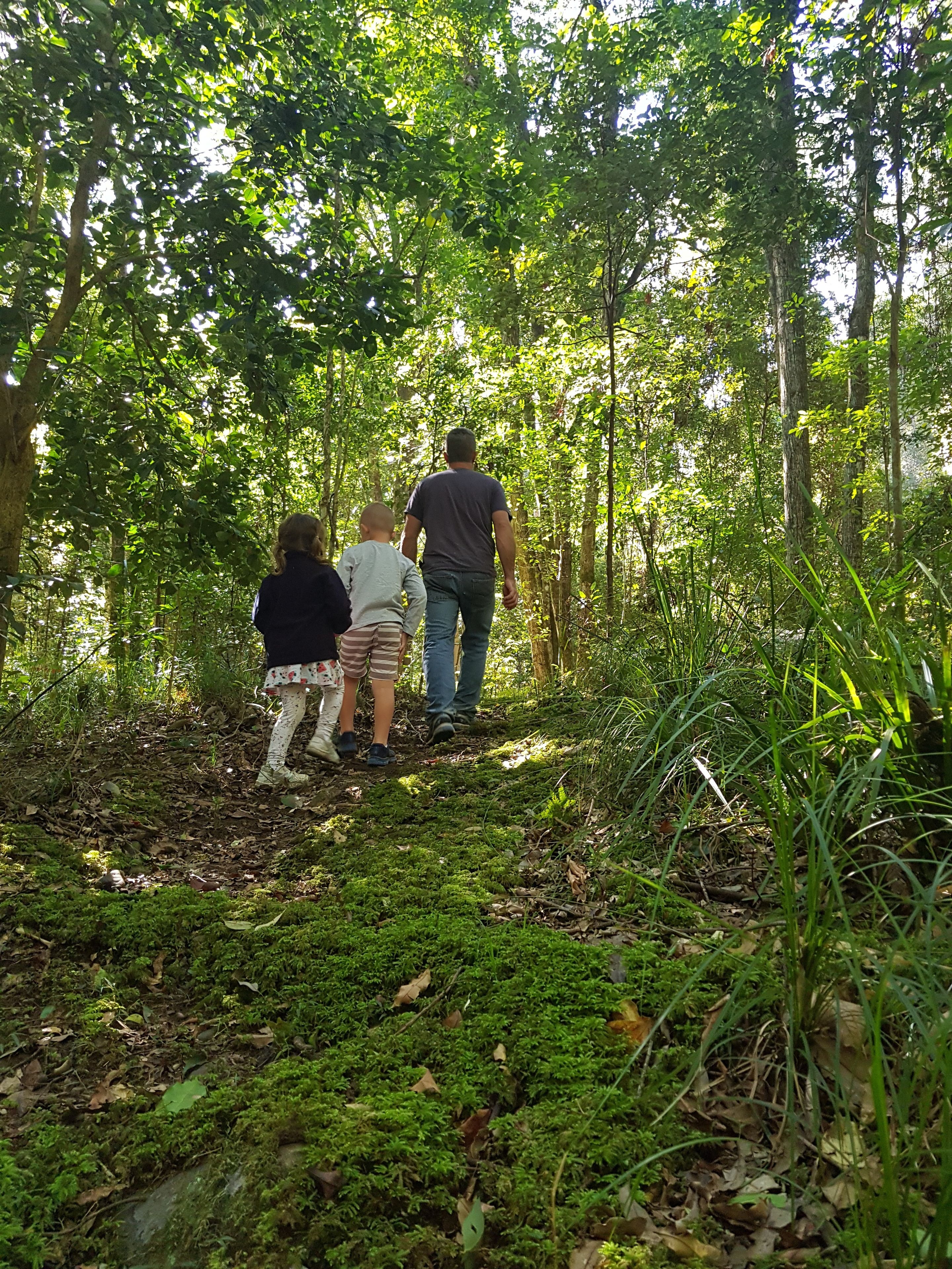 Carawirry Forest Escape