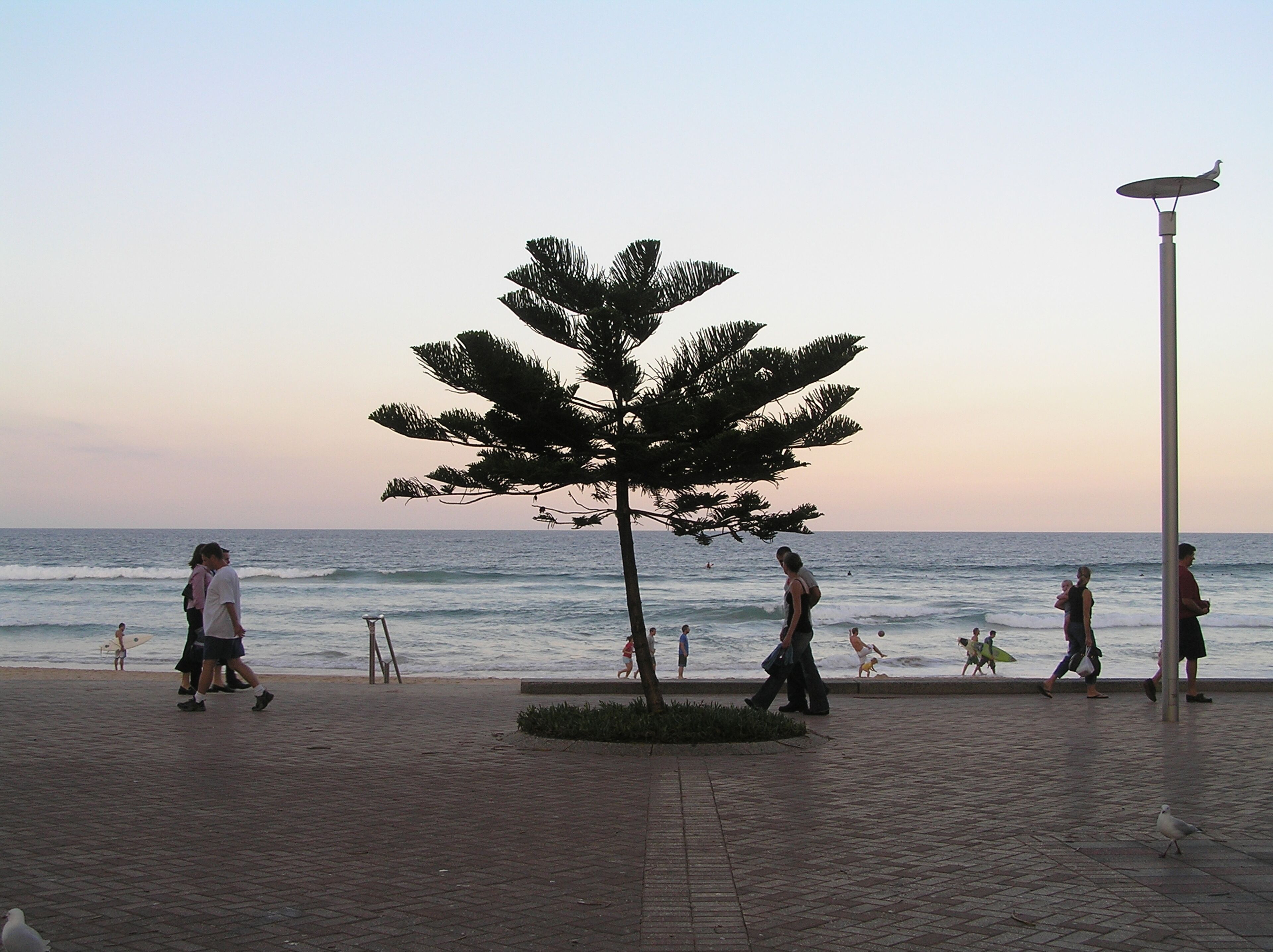 Peppers Manly Beach