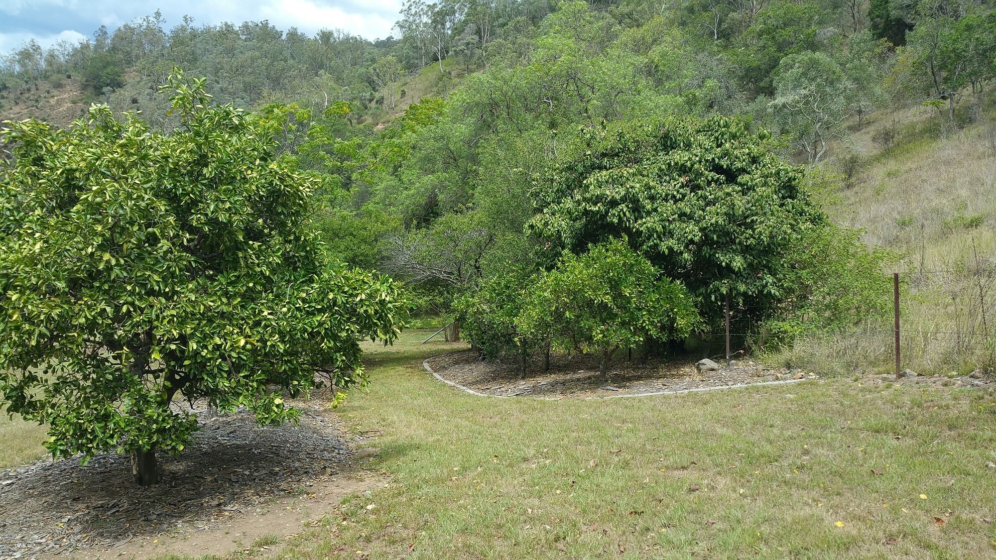 Karamea Homestead