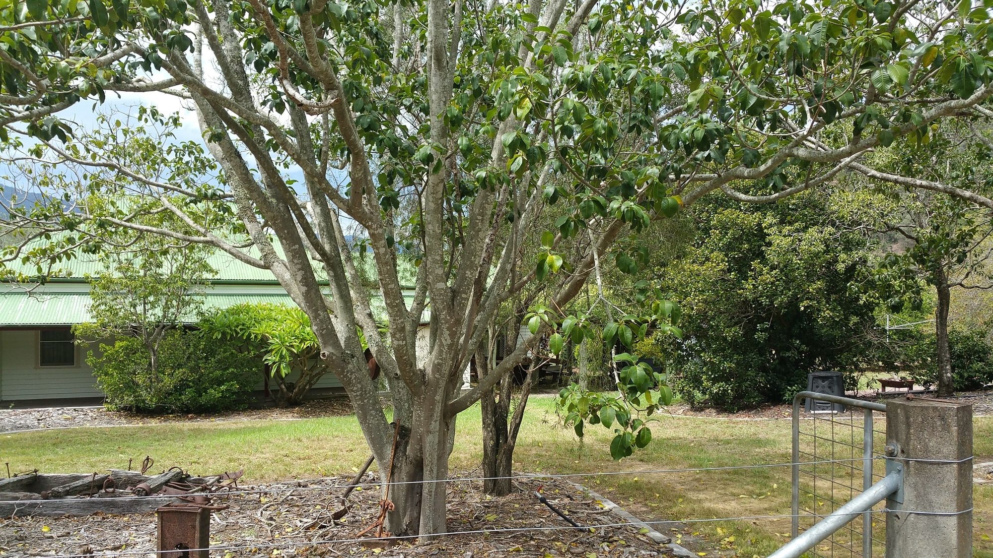 Karamea Homestead