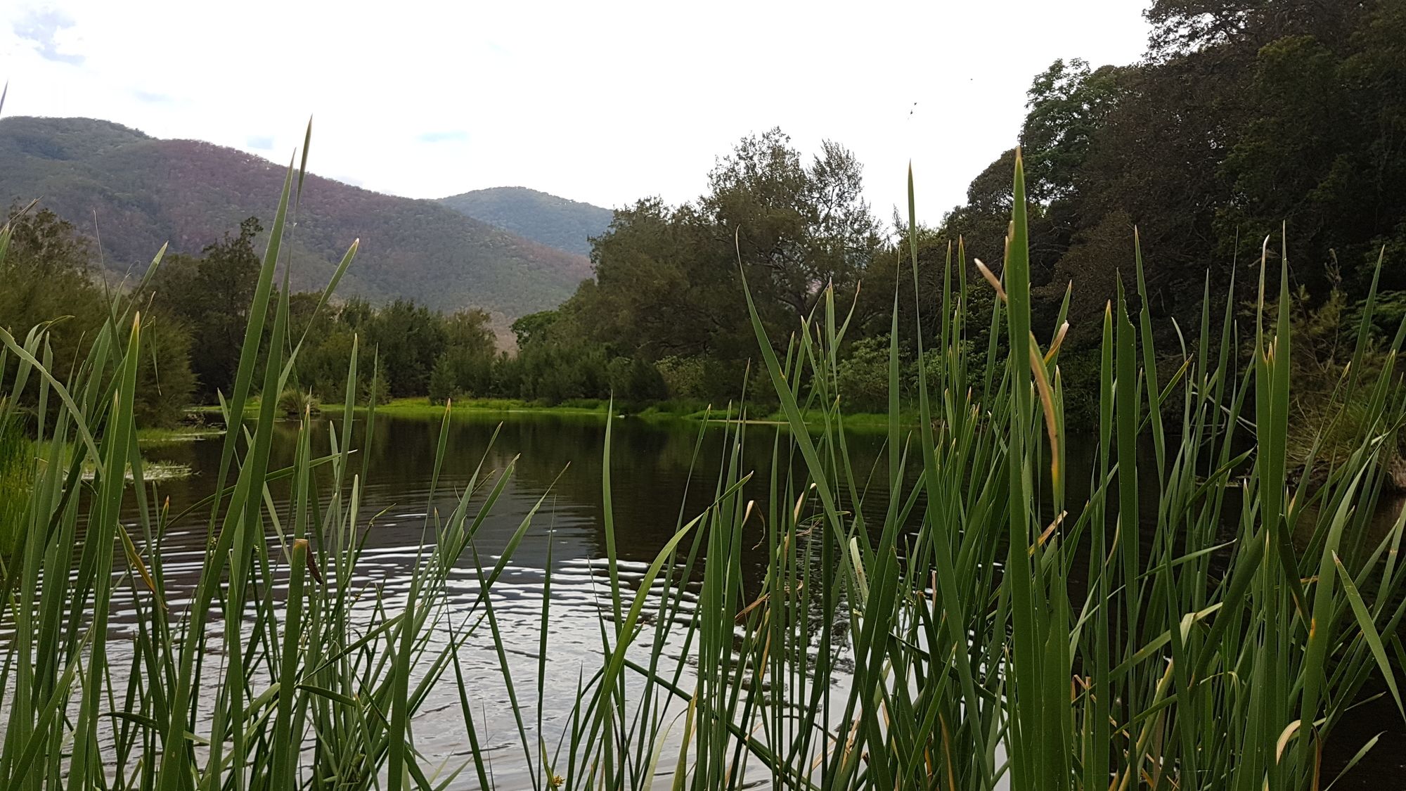 Karamea Homestead