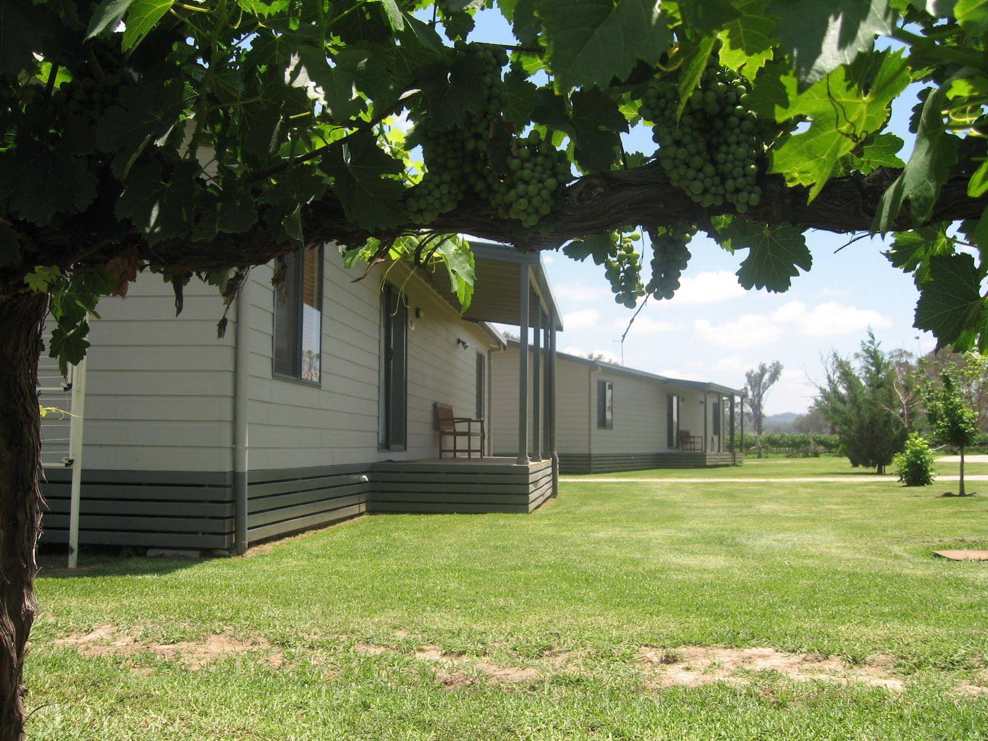 Farmer's Daughter Wines