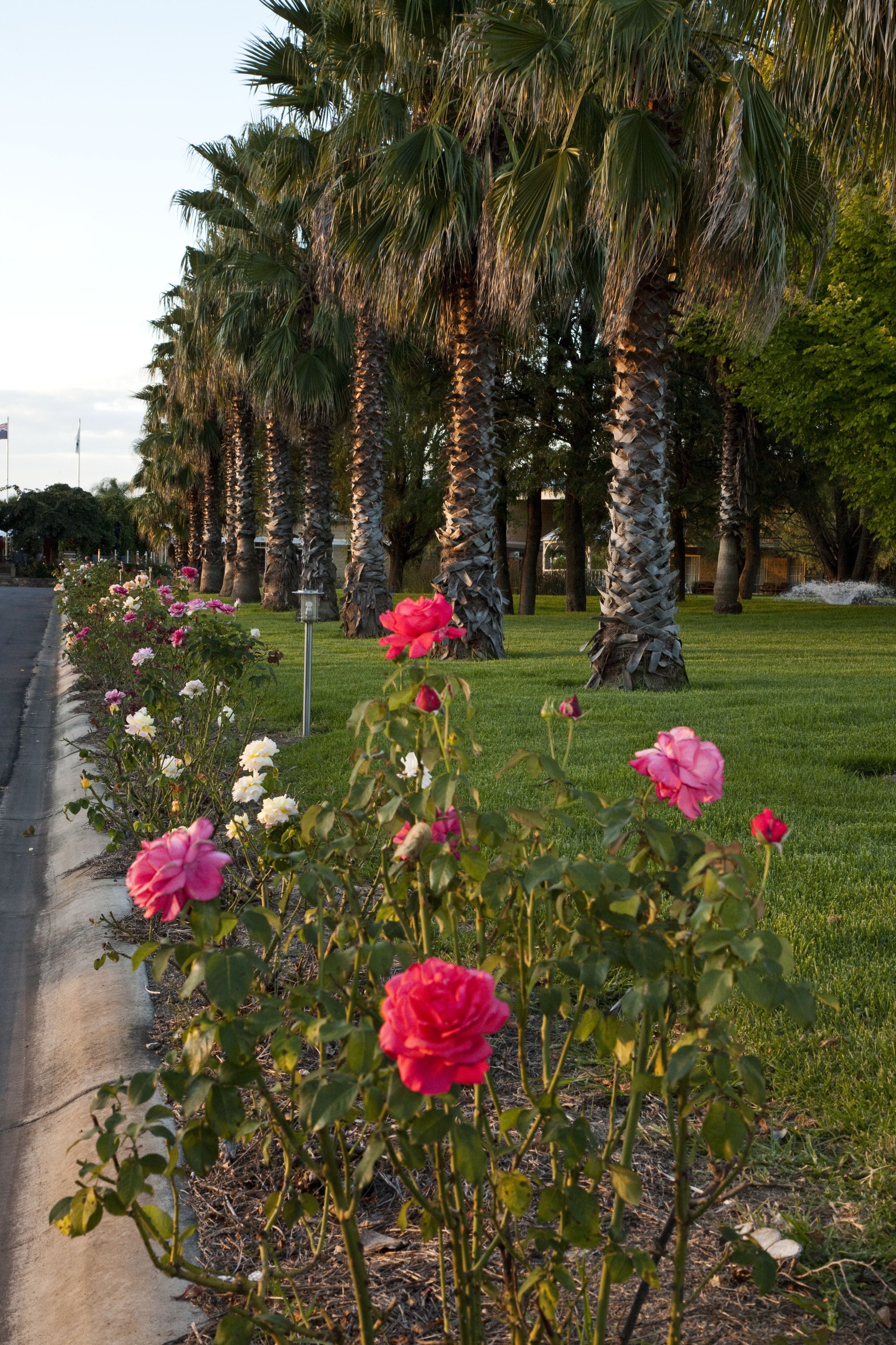Parklands Resort Mudgee