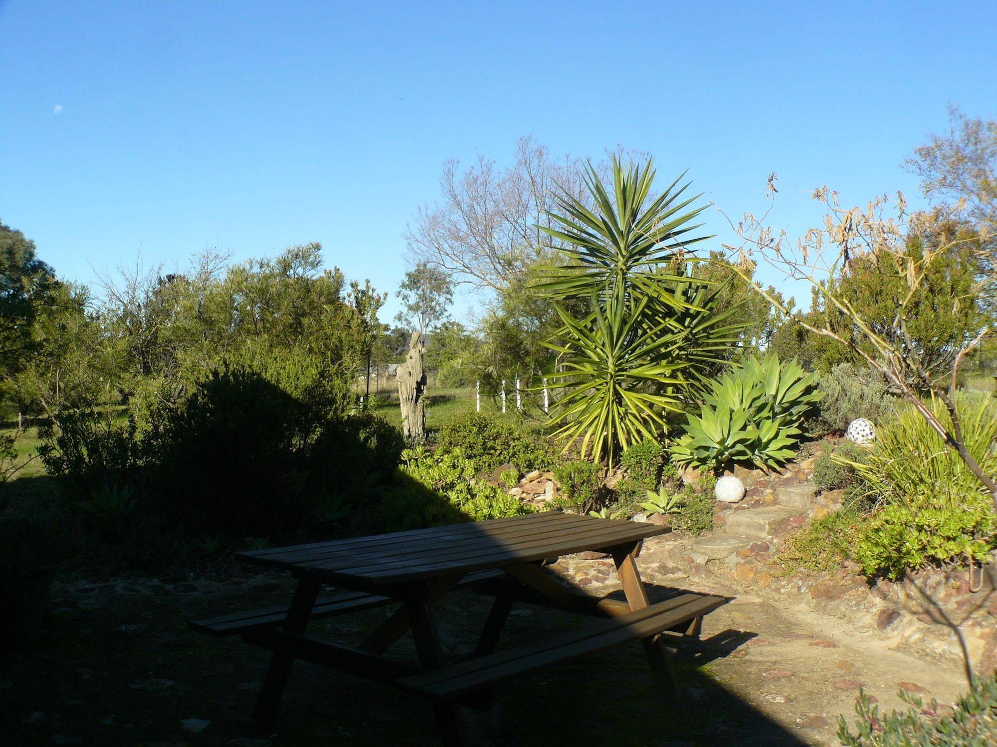 Protea Farm Cottages