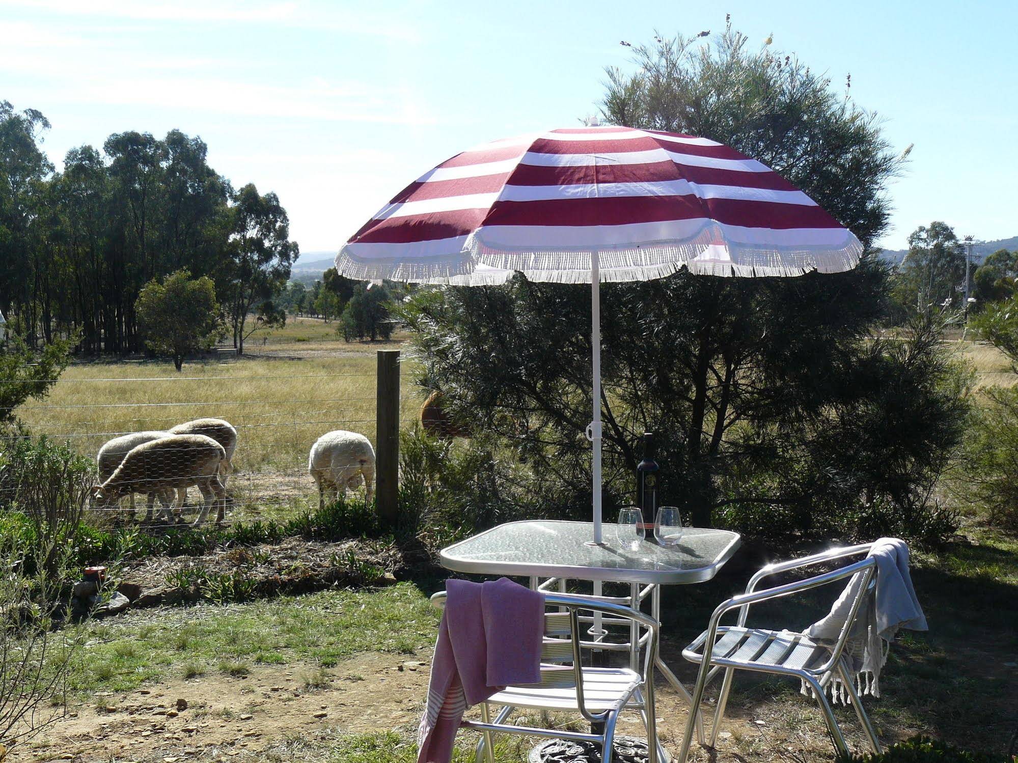 Protea Farm Cottages