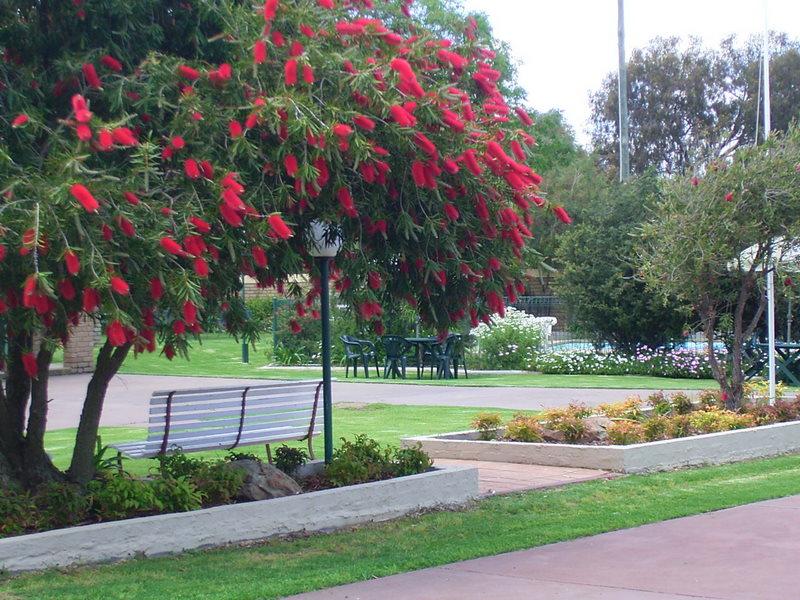 Mulwala Resort