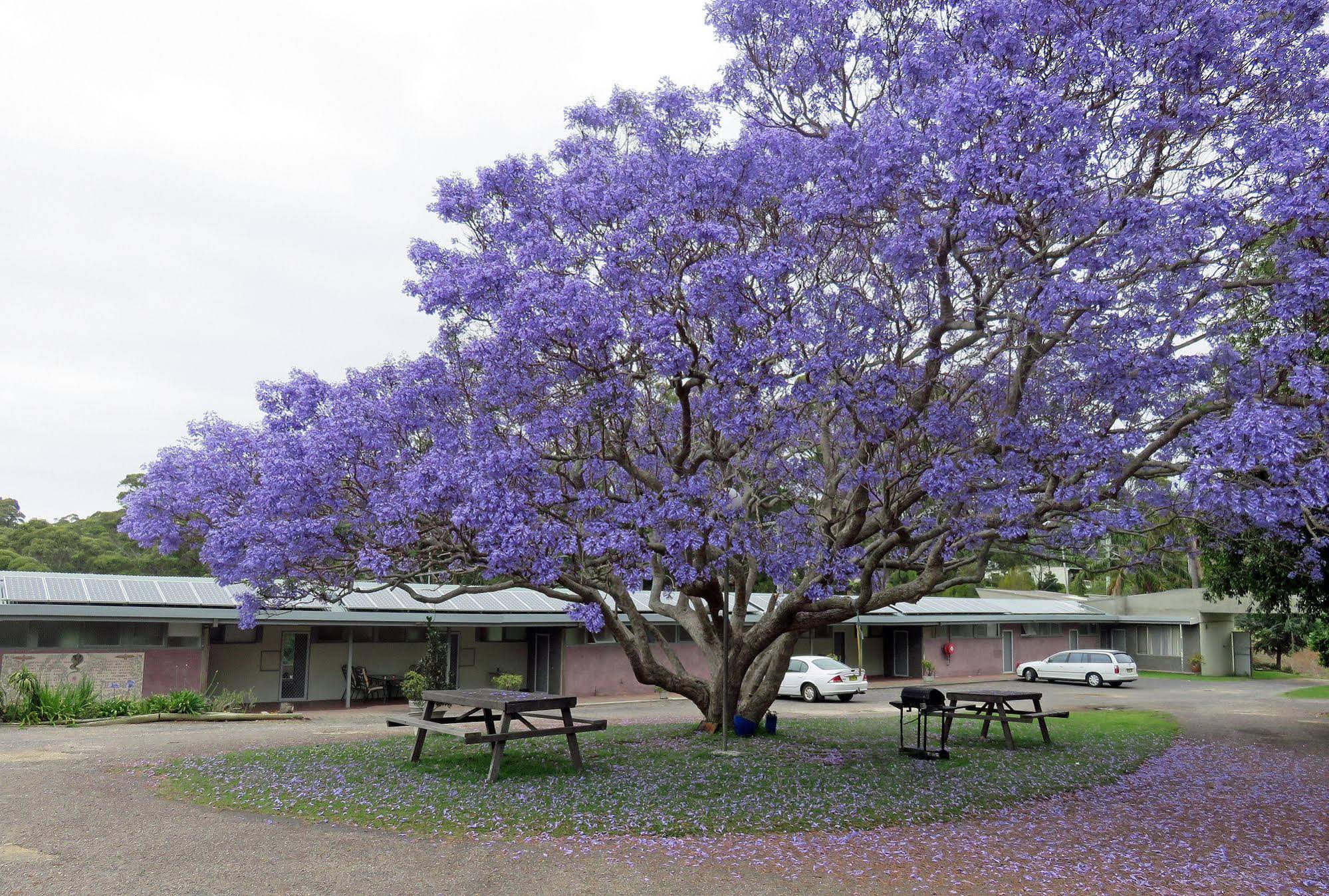 Ecotel Narooma