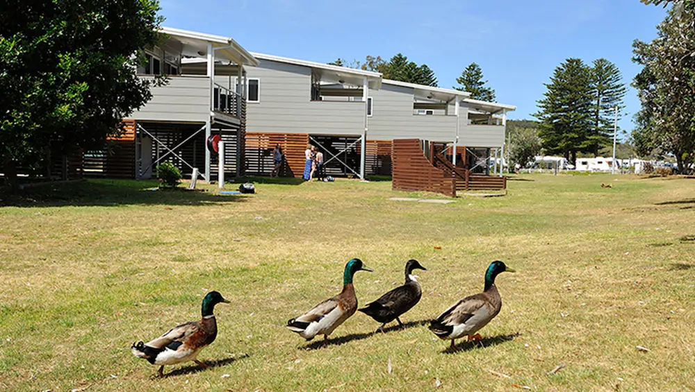 Sydney Lakeside