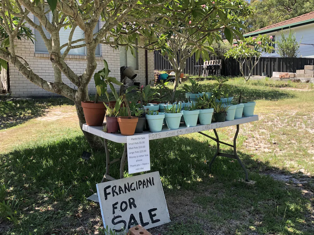 Frangipani House B&B