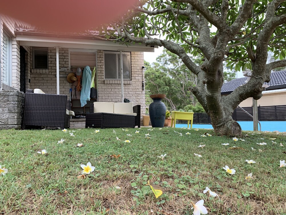 Frangipani House B&B