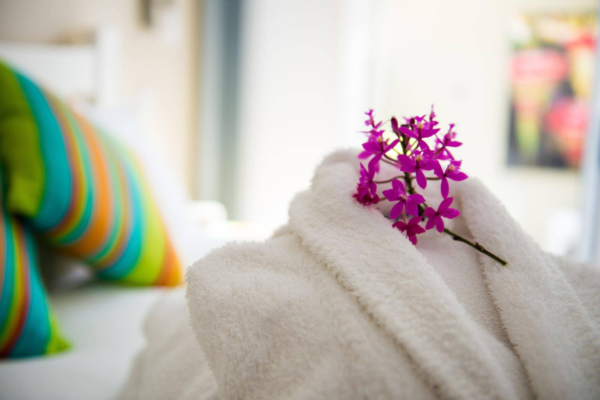 Nelson Bay Bed & Breakfast