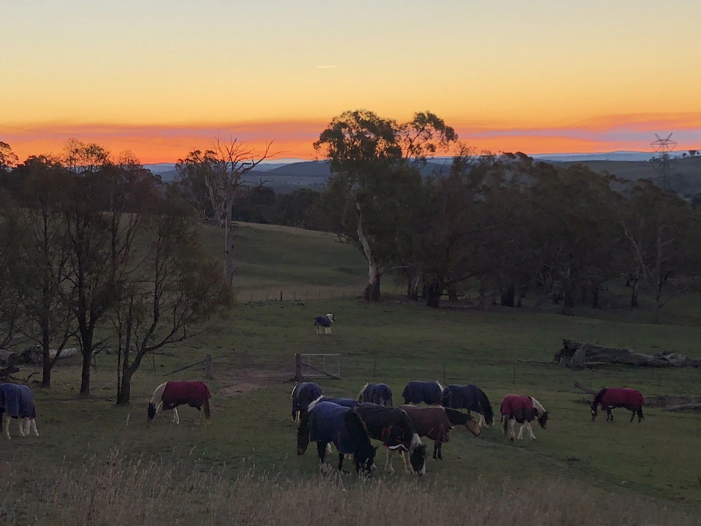 High Country Trail Rides & Farm Stay