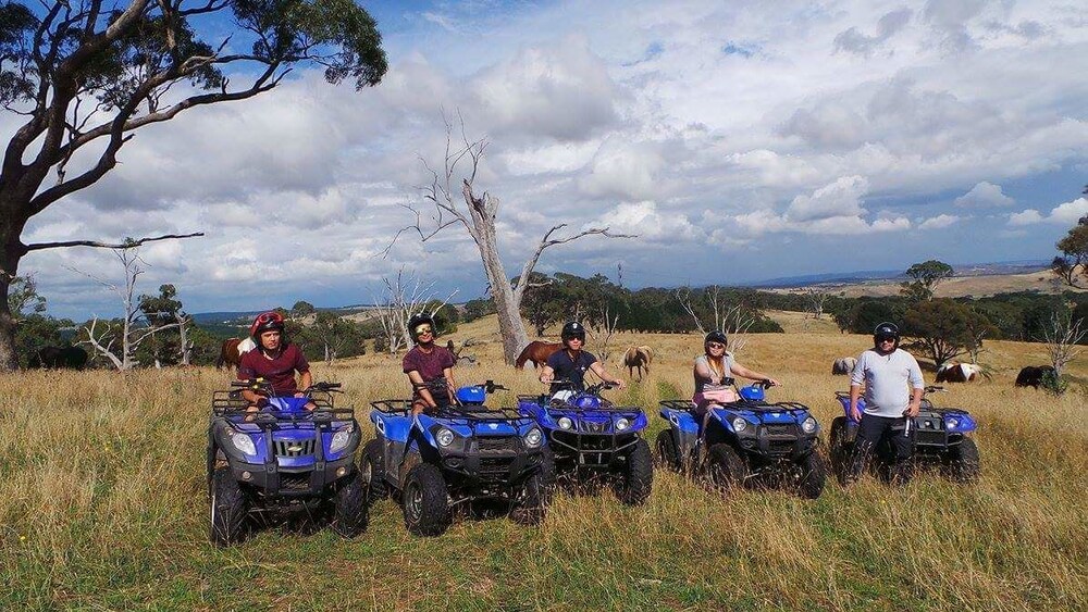 High Country Trail Rides & Farm Stay
