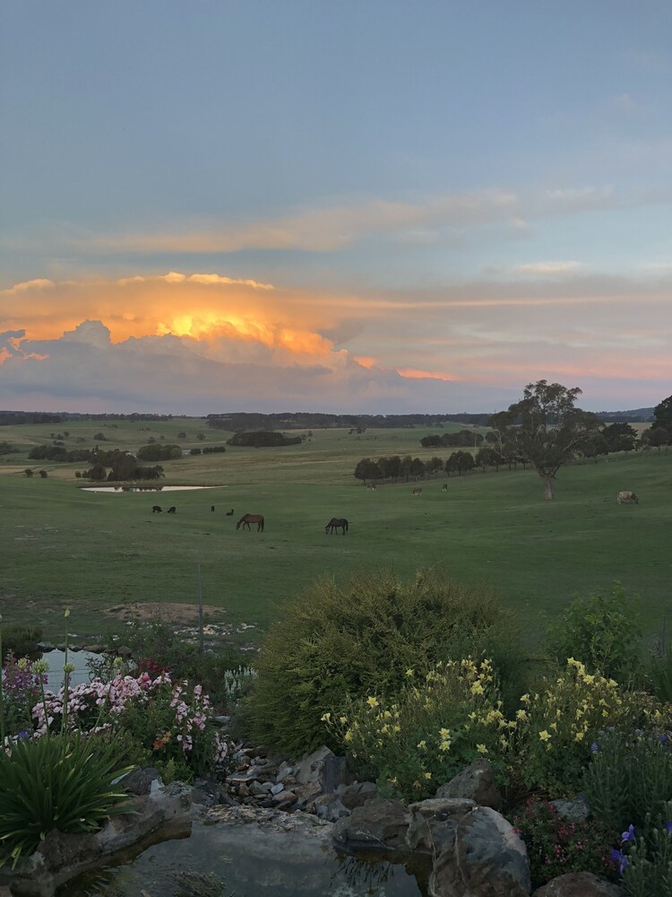 High Country Trail Rides & Farm Stay