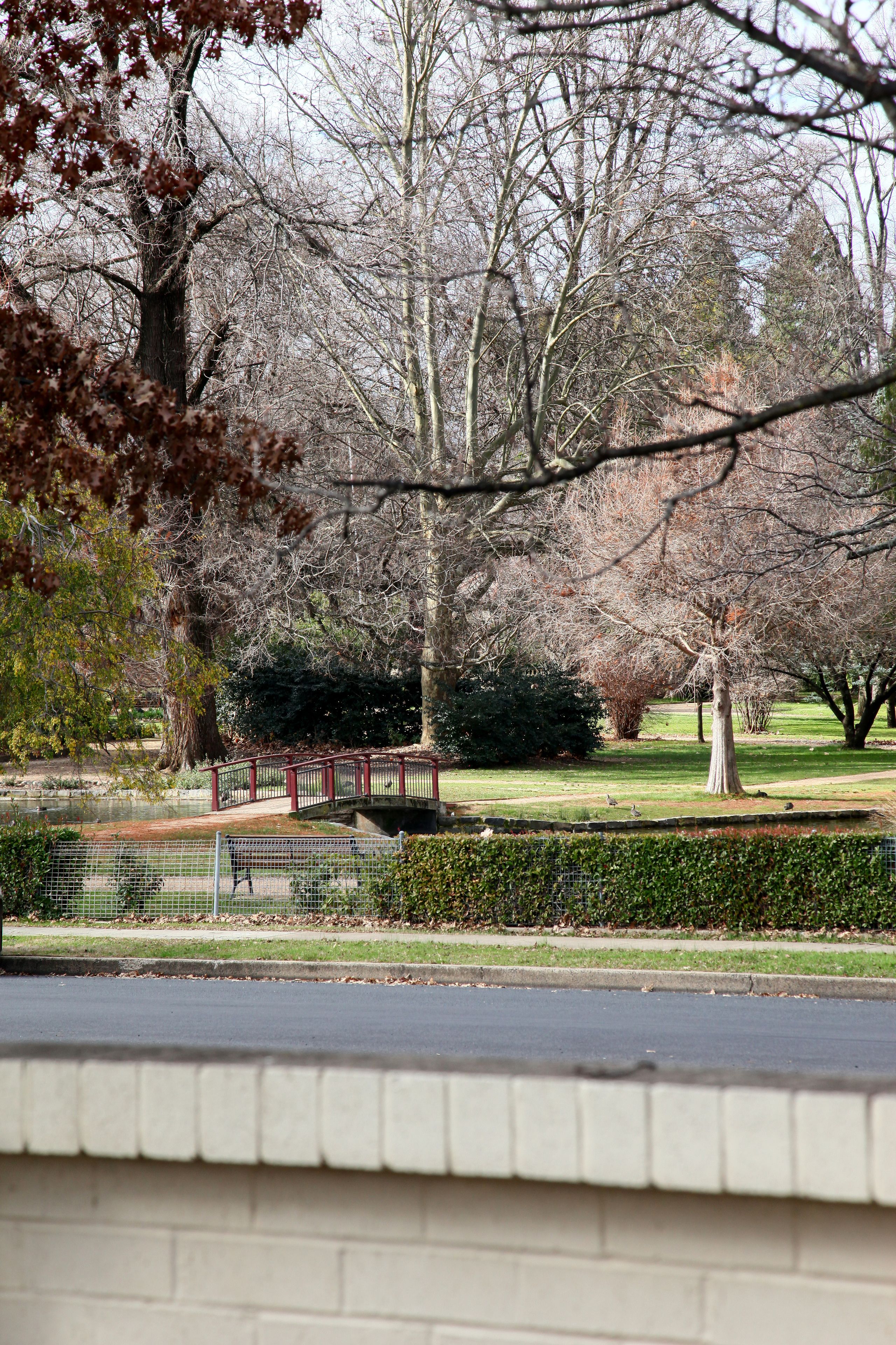 Apartments on the Park Studio 35