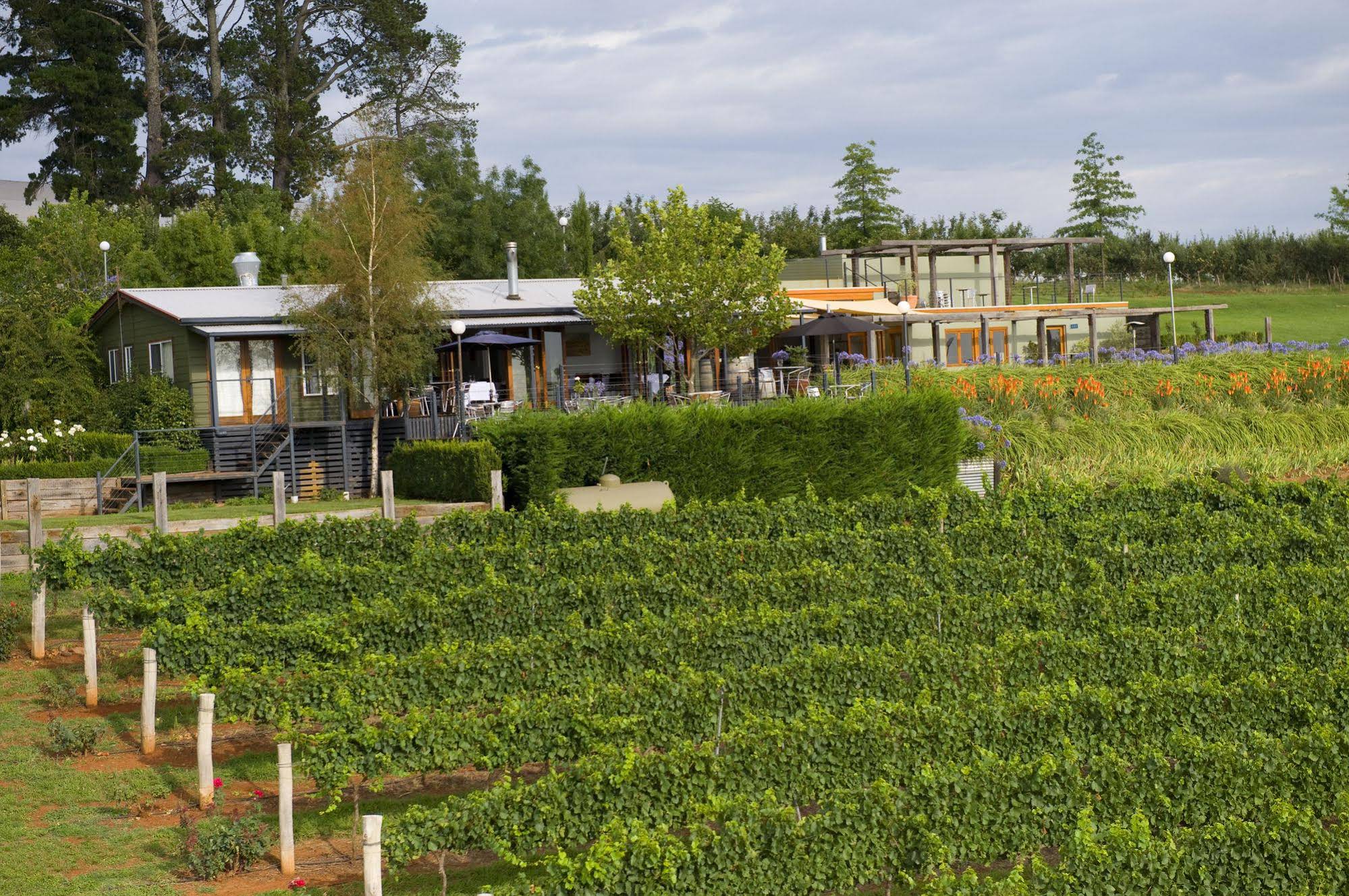Borrodell Vineyard